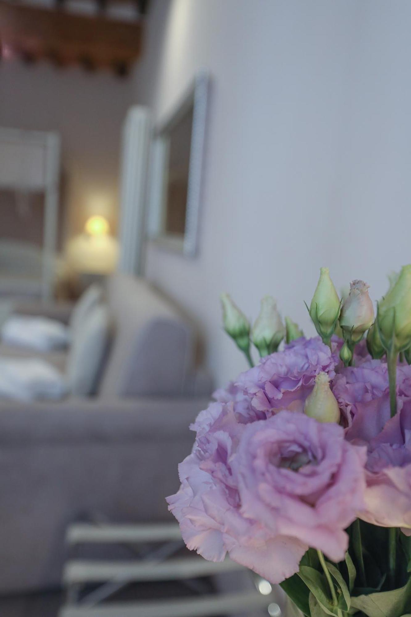 B&B Il Senesino Сиена Экстерьер фото